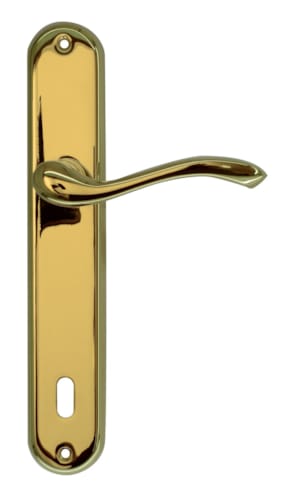 Poignée de porte Erica Titane