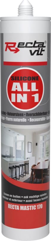 RM 170 all-in 1 - Mastic Blanc - 310 ml