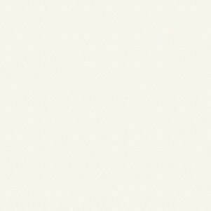 Kronospan Plan de Travail Bord Profil U 101 Front White PE 4100 x 900 x 38 mm