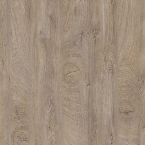 Kronospan Plan de travail bord droit chant ABS K105 Endgrain Chêne Brut Fine Pore