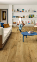 Parquet stratifié Quick-Step Impressive - Chêne truffier 8256